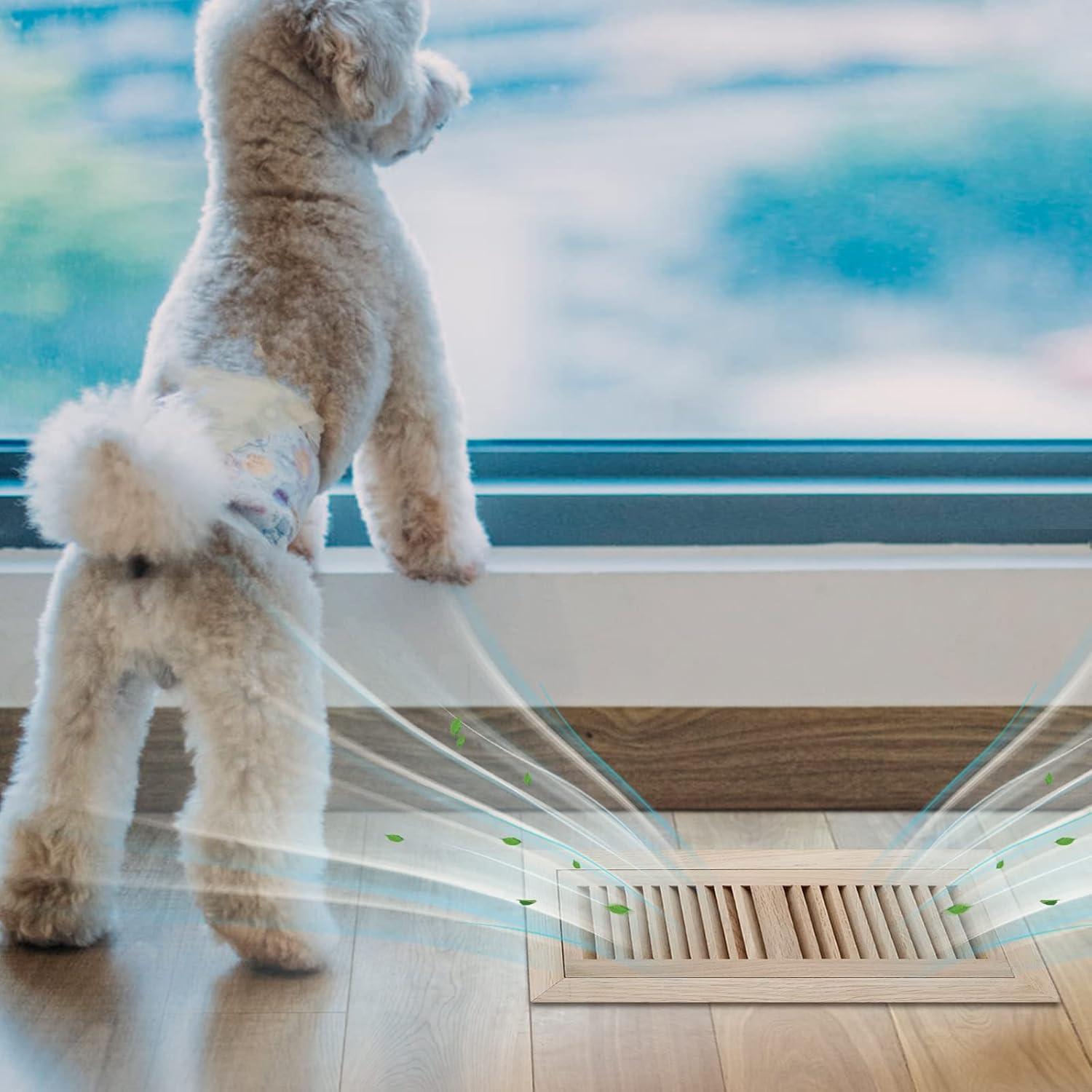 Hardwood White Oak Floor Register, Flush Mount with Frame, 4x10 Inch, Unfinished