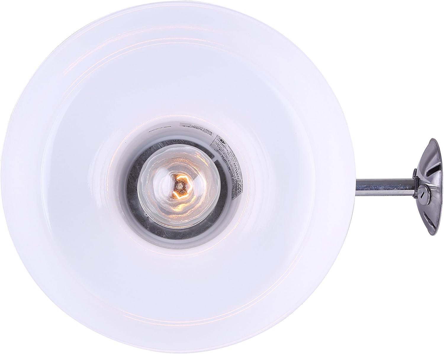 Canarm BL14CWS All Weather 1-Bulb Ceiling or Wall Mount All Weather Light with Clear Glass Globe, Grey Medium