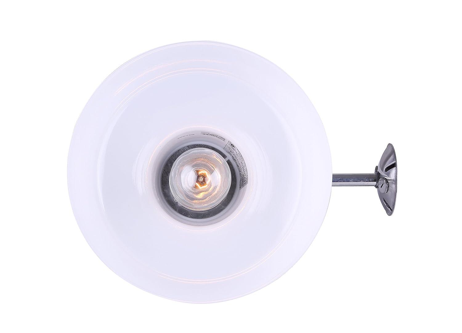 Canarm BL14CWS All Weather 1-Bulb Ceiling or Wall Mount All Weather Light with Clear Glass Globe, Grey Medium
