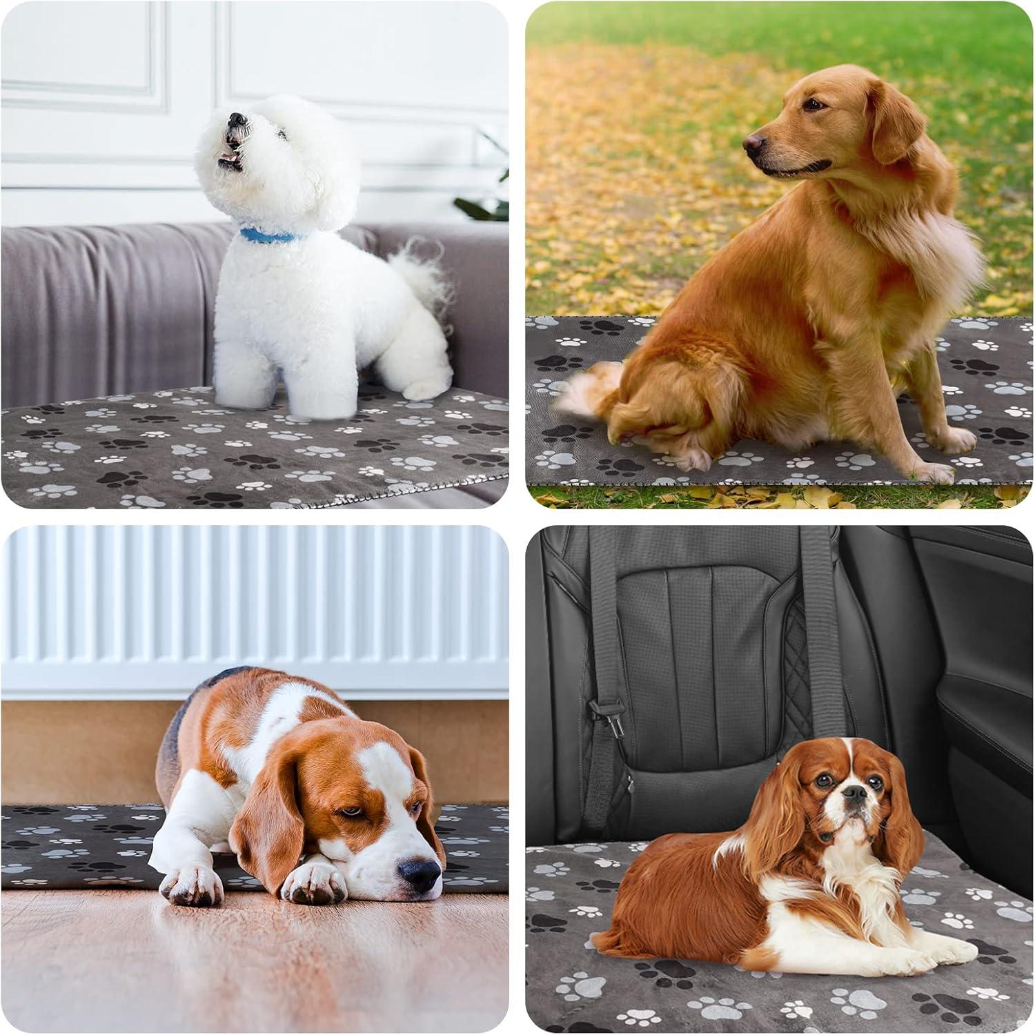 Waterproof Pet Blanket Dog Blankets, Pattern Printing Super Soft Warm Fluffy Facecloth Sofa Car Bed Protector, Urine Proof Washable Outdoor Pet Blanket for Puppy Large Dogs & Cats 40 * 30 inch