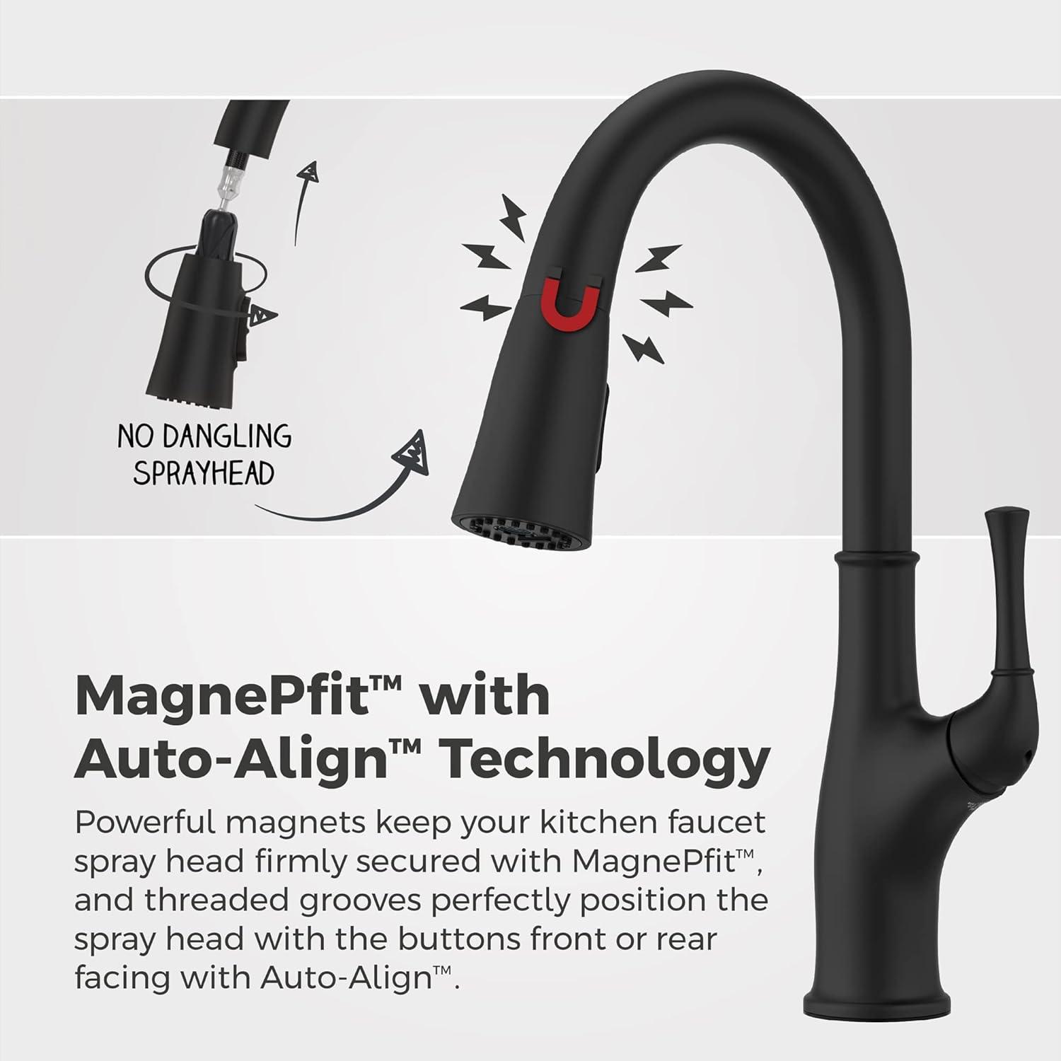 Alderwood Matte Black High-Arc Kitchen Faucet with Pull-Out Spray