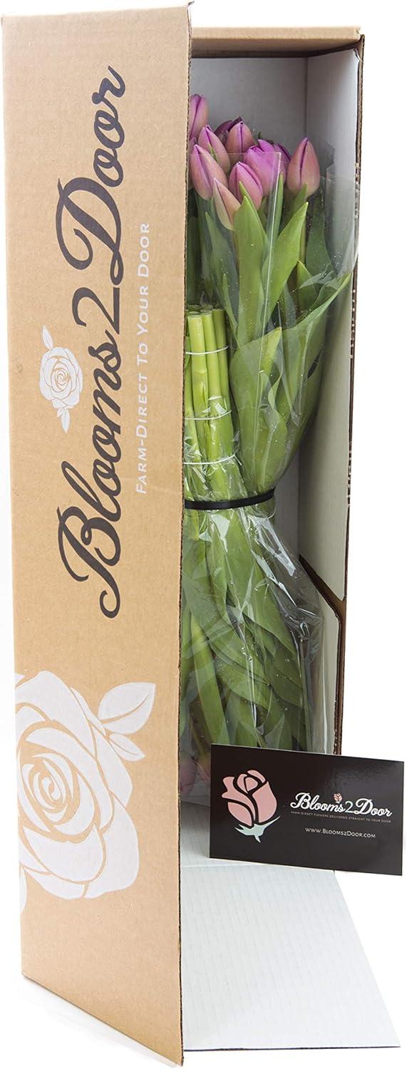 KaBloom : 20 Pink Tulip, Next-Day Delivery, Gift for Every Occasion