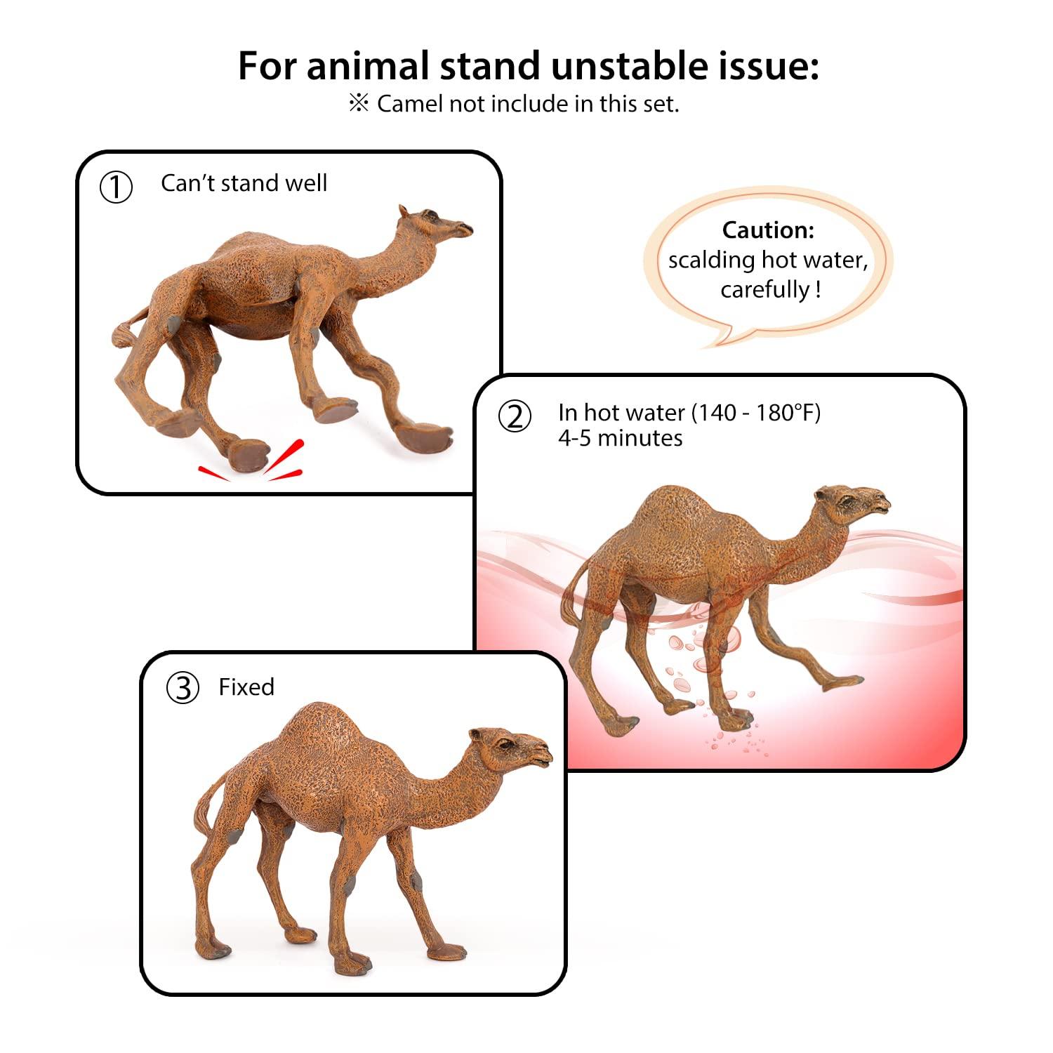 Volnau Animal Toys Figurines 12Pcs Australia Animal Figures Zoo Pack Educational Kangaroo Koala Sets