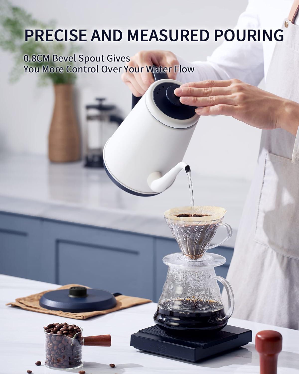 Basowin Gooseneck Electric Kettle(1.0L),1000W Electric Tea Kettle Of 304 Stainless Steel,Auto Shut Off,Coffee Kettle For Pour Over And Tea