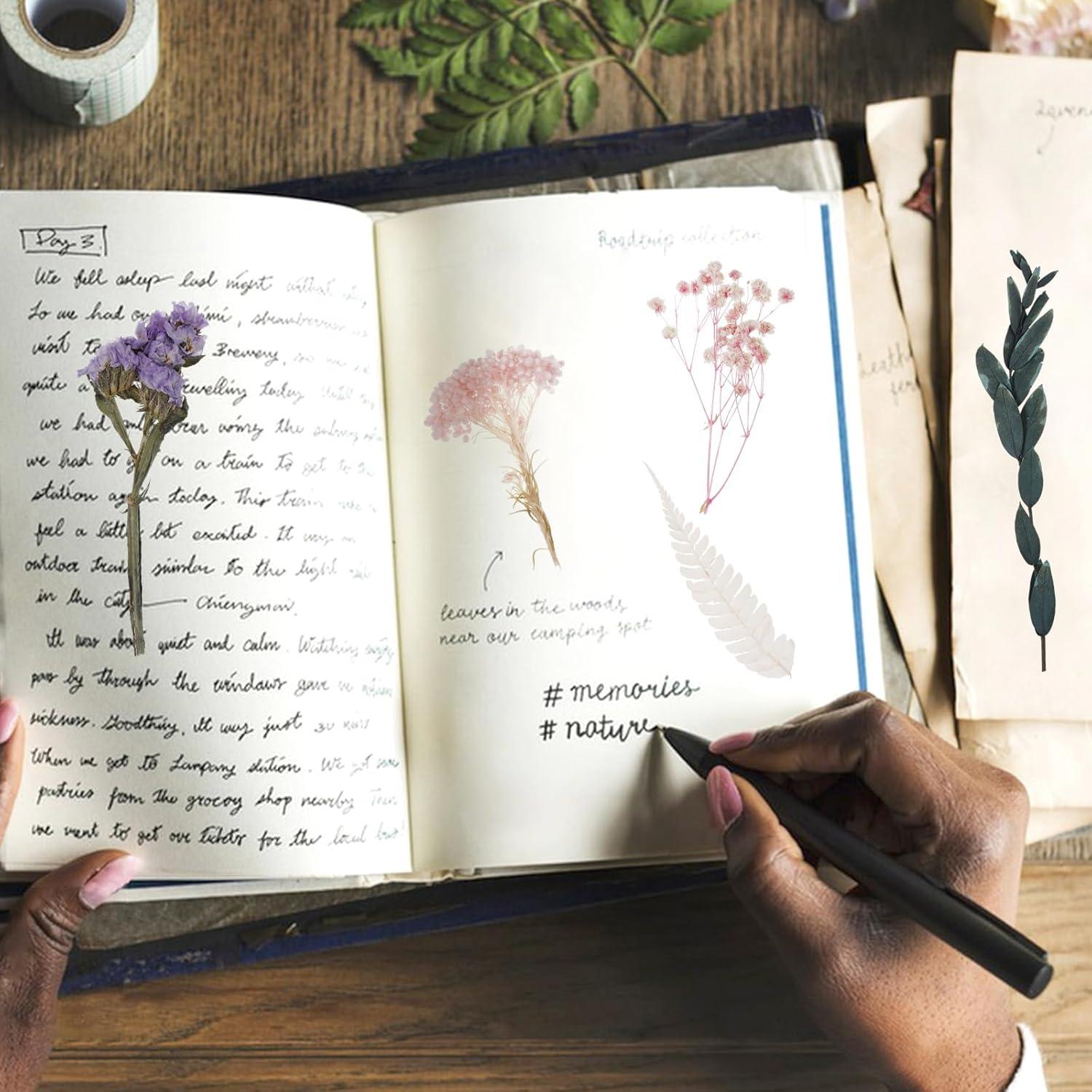 Yoloke DIY Dried Flowers Craft Kit - Natural Assorted Dried Florals for Making Everlasting Valentine's Day Gifts, Unique Design, Perfect for Framing & Creative Decor