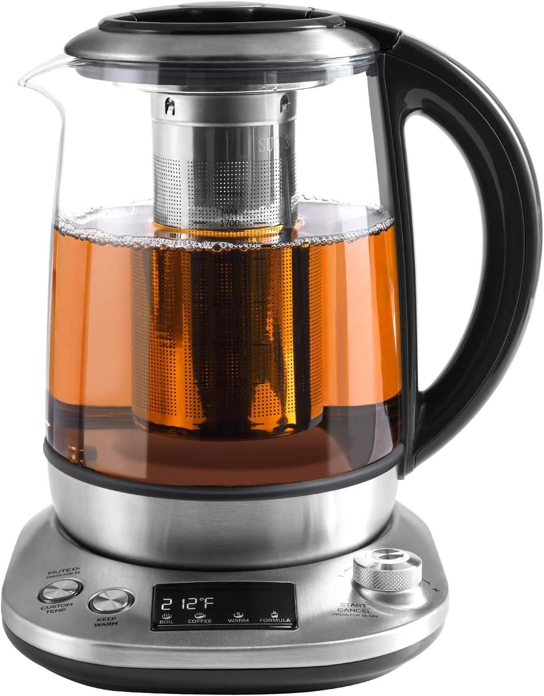 Stainless Steel Borosilicate Glass Electric Tea Kettle with Infuser