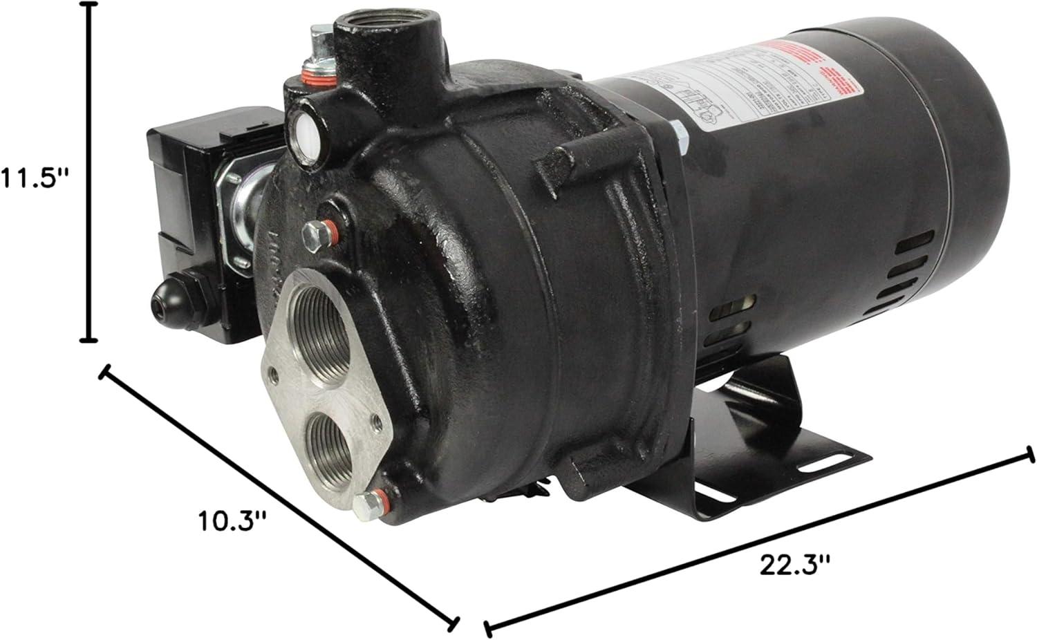 Wayne 1/2 HP Black Cast Iron Convertible Jet Well Pump