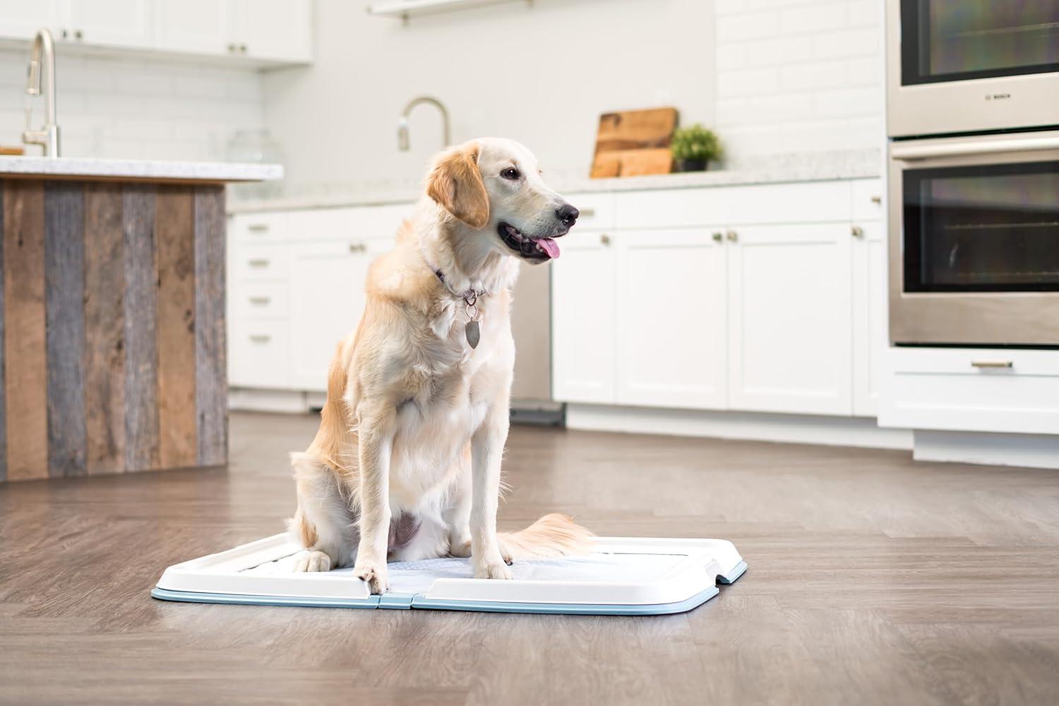 IRIS USA Pee Pad Holder - For Large Sized Dog and Puppy Pee Pads, Secured Latches, Non-Skid Feet, High Polish Finish for Easy Cleaning, Leak Protection, Fits 23"x35" Pad or Larger, Square, Blue