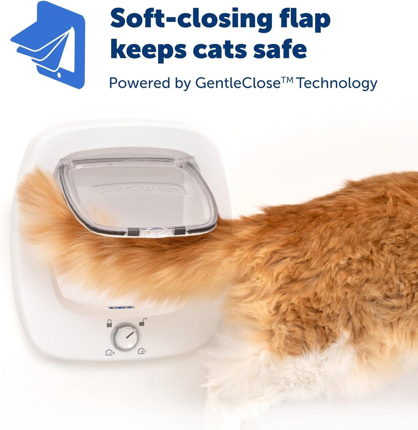 PetSafe® PetSafe Big Cat Door – Interior and Exterior Pet Door for Cats, Small Dogs and Multi-Pet Households