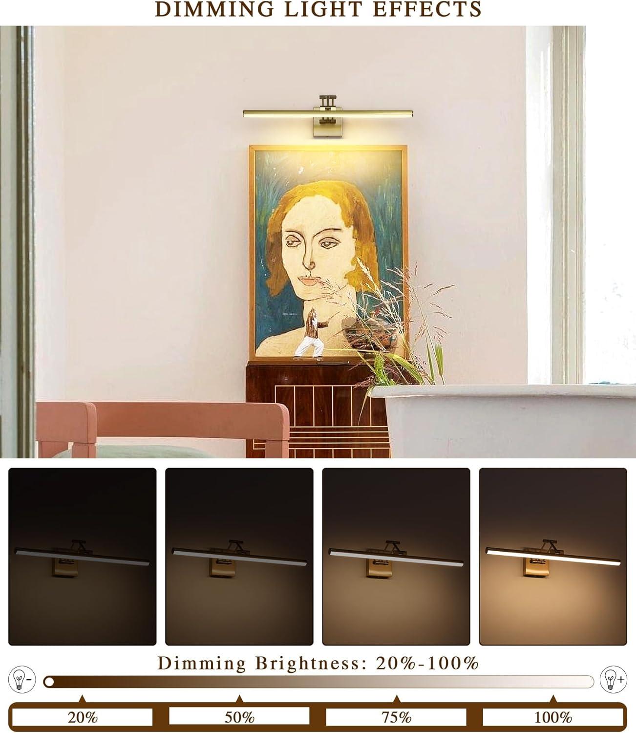 Joossnwell Hard-Wired Picture Light for Wall Brass Art Lighting Dimmable Gallery Light 23.39 inch Picture Frame Light with Adjustable Swing Arm for Painting Library Display Artwork Museum Warm White