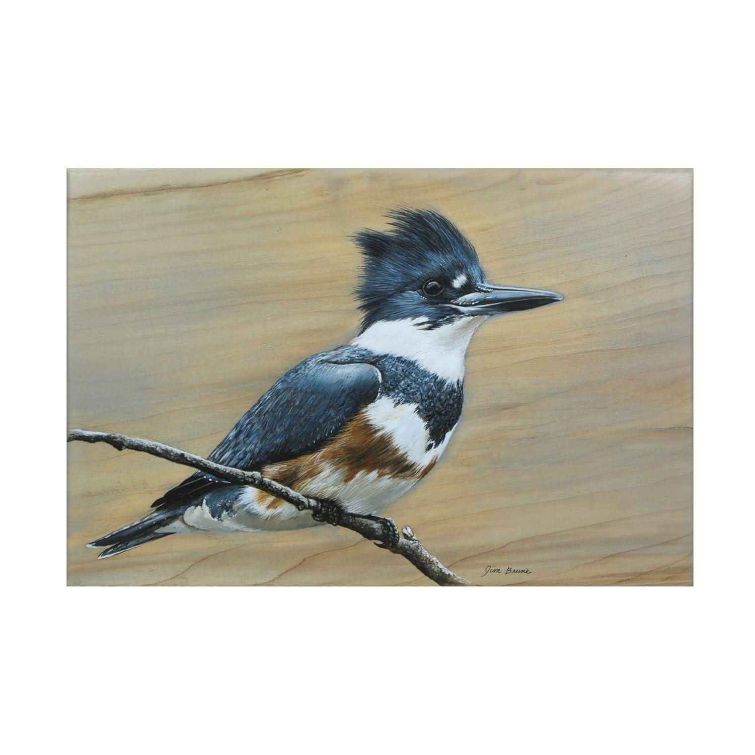 Canvas Wall Art - Jim Brune 'Belted Kingfisher' Wall Art for Living Room, Bedroom, or Office DÃ©cor by Trademark Fine Art - 19 x 12 Inches