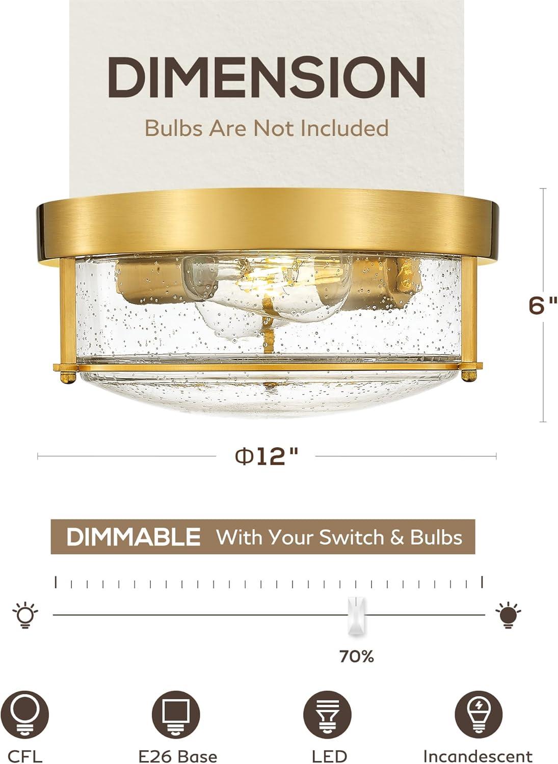 Flush Mount Ceiling Light Fixtures, 2-Light and Ceiling Mount for Farmhouse with Glass Lampshade