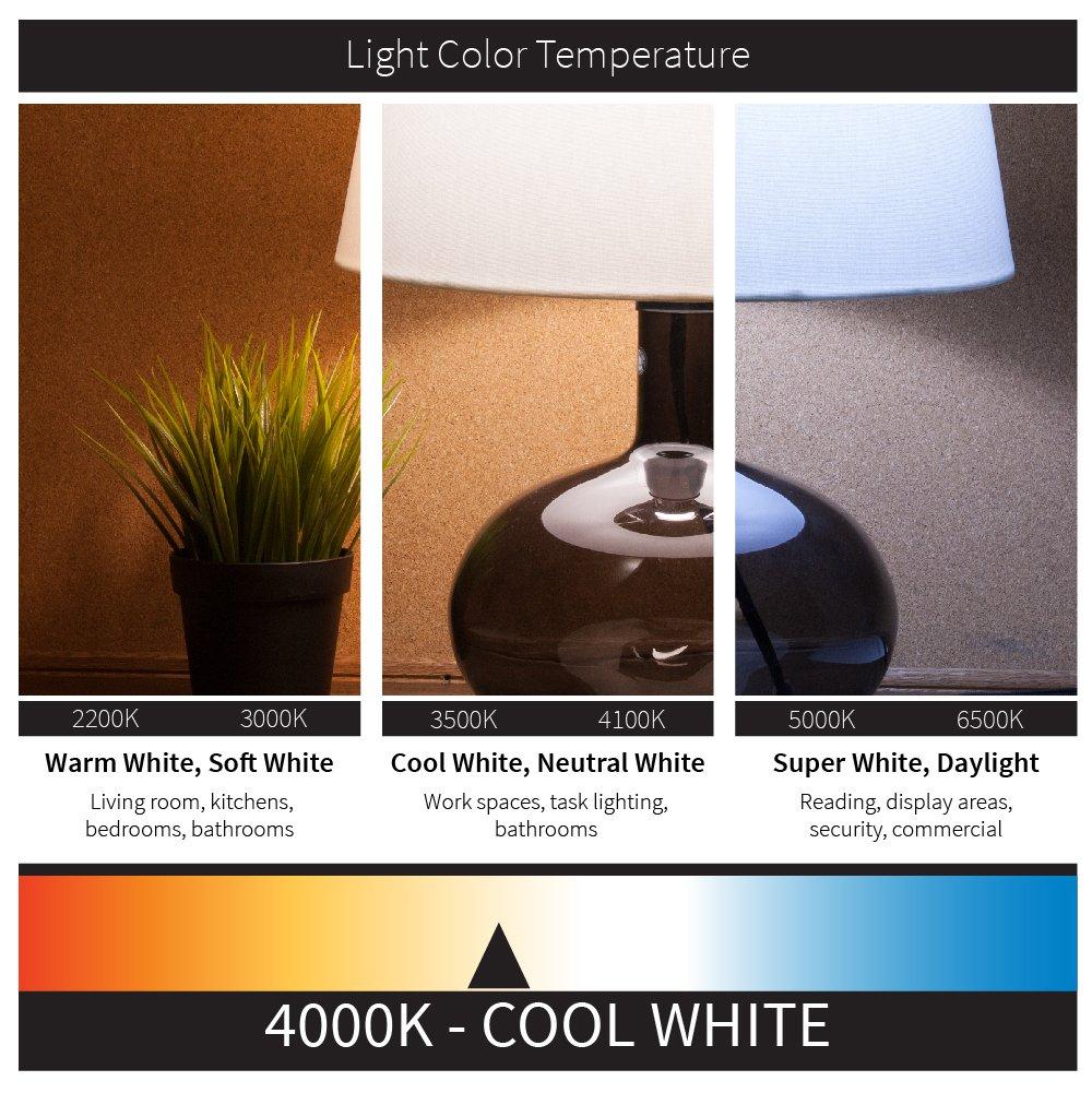 Sunlite LED PAR30 Long Neck Light Bulb, 9 Watt (75W Equiv), Medium E26 Base, Dimmable, Frosted, UL Listed, 4000K Cool White, 6-Pack