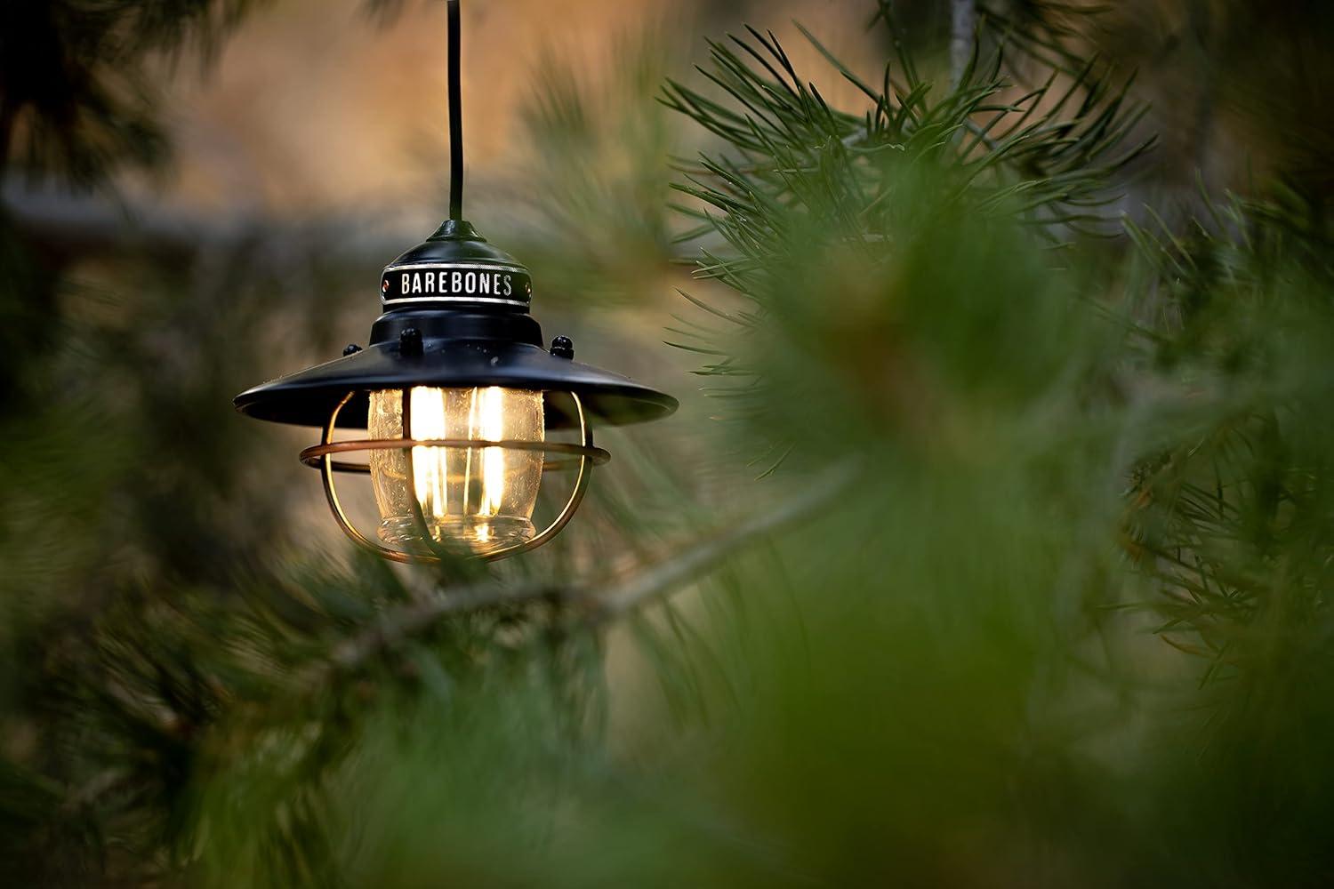 Barebones Edison Pendant Light