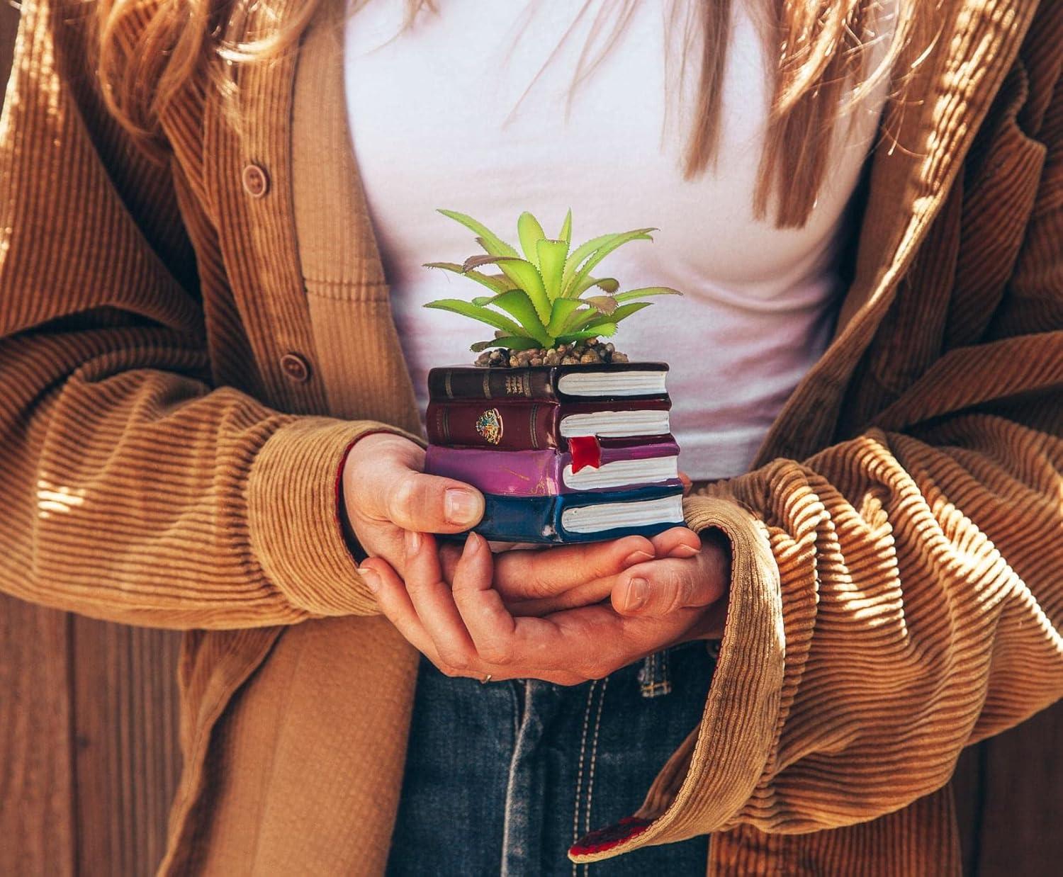 5.5'' Faux Succulent Plant in Planter