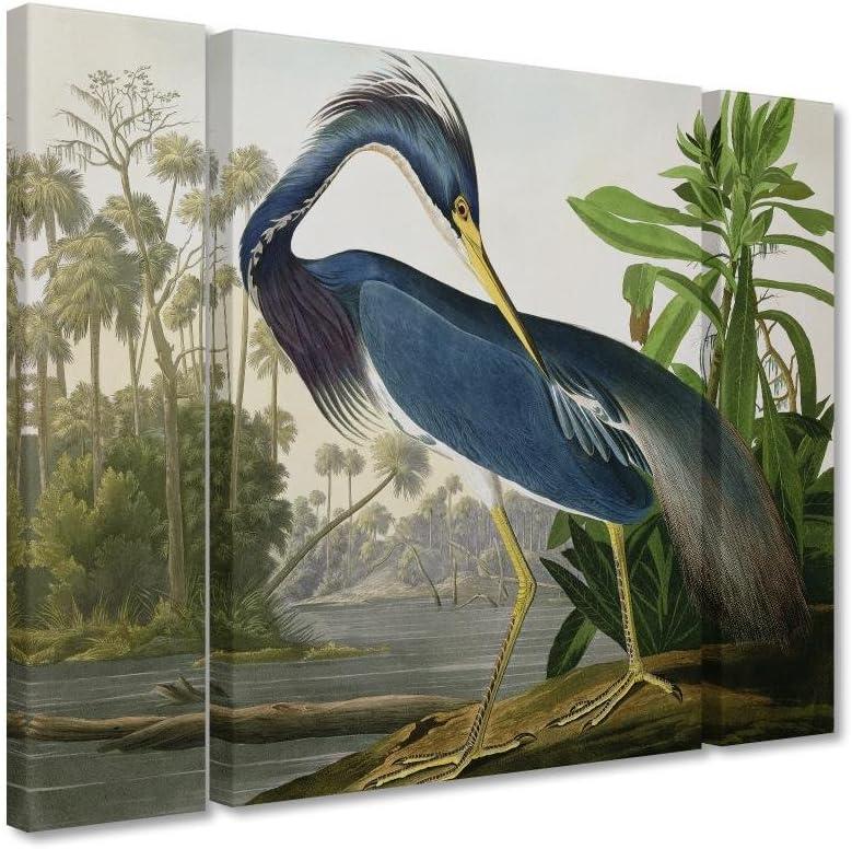 Trademark Fine Art -John James Audubon 'Louisiana Heron' Canvas Art