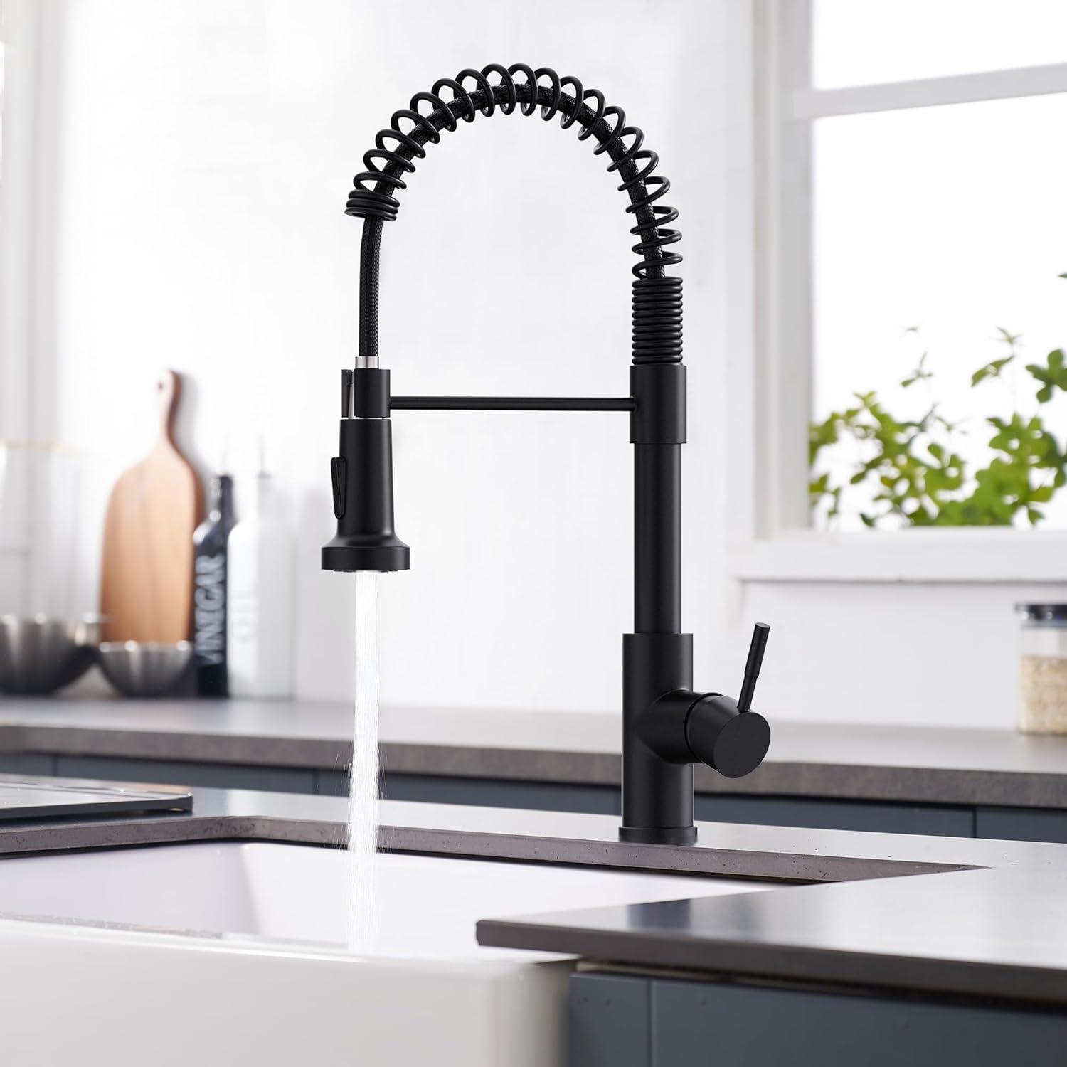 Matte Black Stainless Steel Kitchen Faucet with Pull Down Sprayer