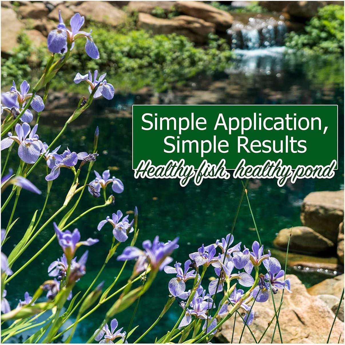 Natural Waterscapes Pond Remedy | Koi Pond Cleaning Packets | Treats up to 16,000 gallons