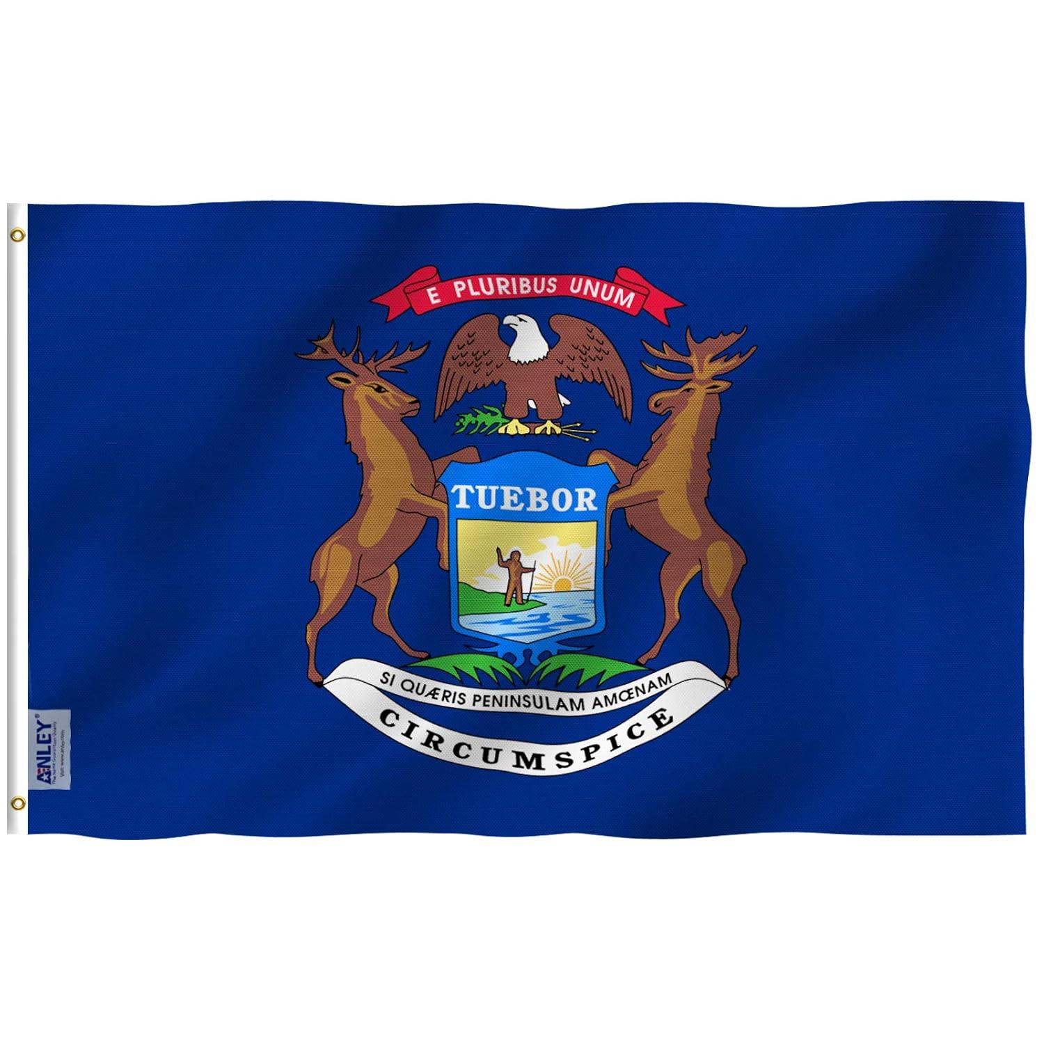 ANLEY Michigan State 2-Sided Polyester 36 x 60 in. House Flag