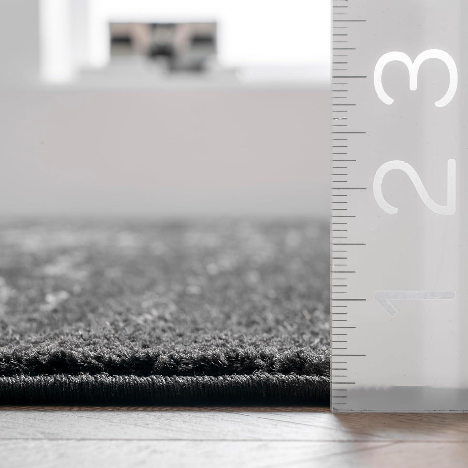 Nuloom Arlena Medallion 4x6 Indoor Area Rug for Living Room Bedroom Dining Room Kitchen, Black/Grey