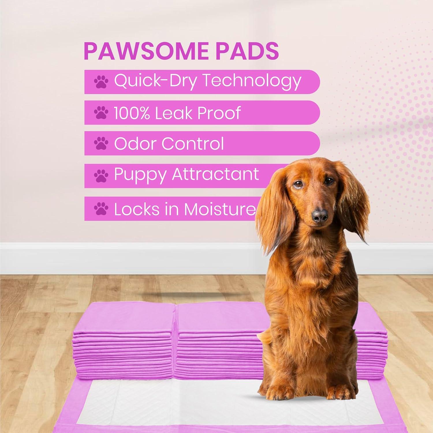 FPN Pink Puppy Pee Pads, 13X18 in 100Pack, Pet Toilet Training Pad Ultra Absorbent, Leak-Proof  for Puppies, Dogs, & Small Pets 5-Layer Protection