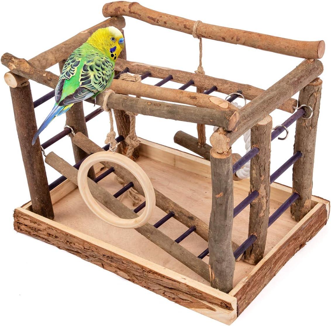 Niteangel Natural Living Playground for Birds, Bird Activity Center