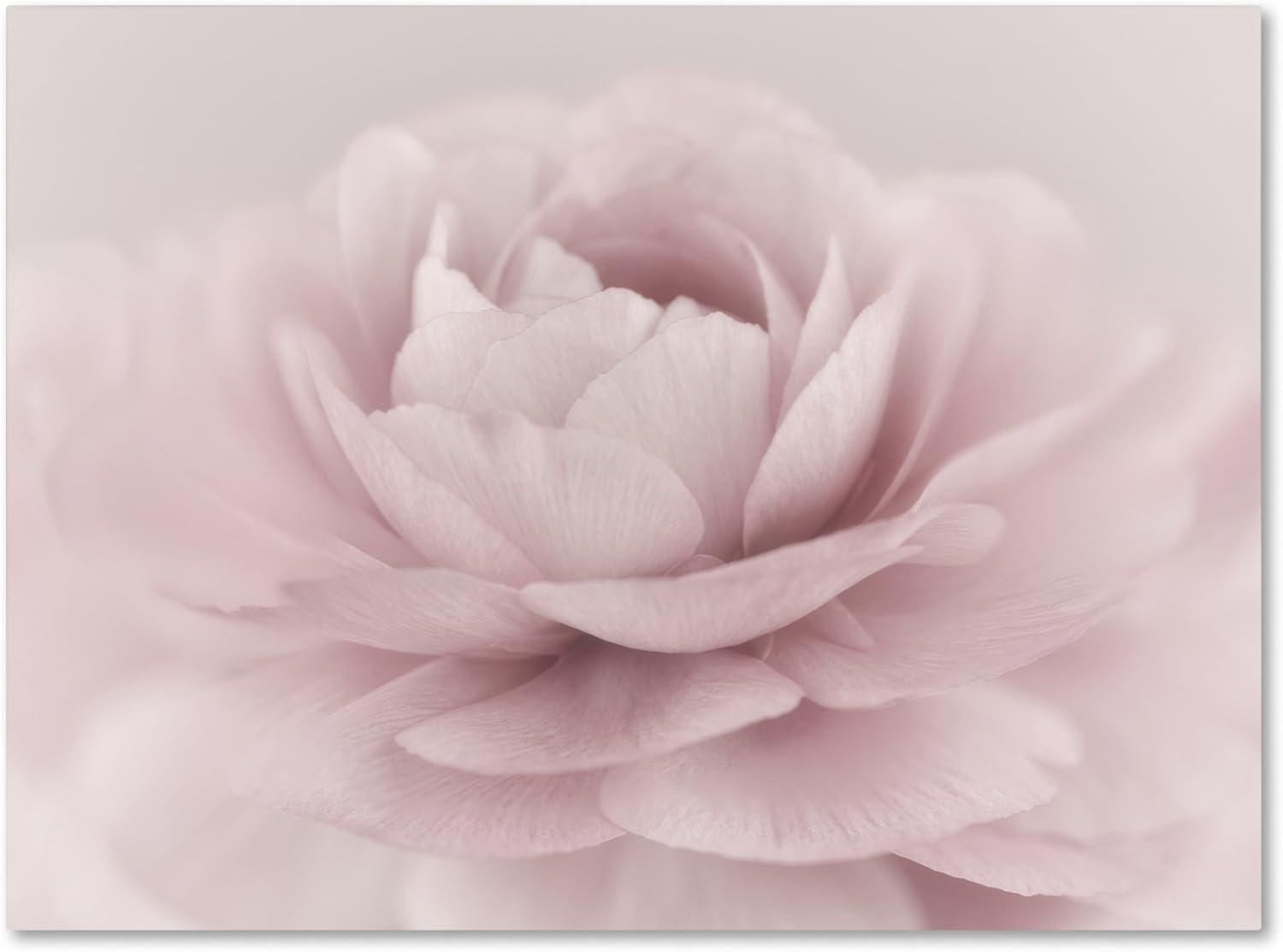 Soft Pink Rose Canvas Print with Wooden Frame, 35x47 Inch