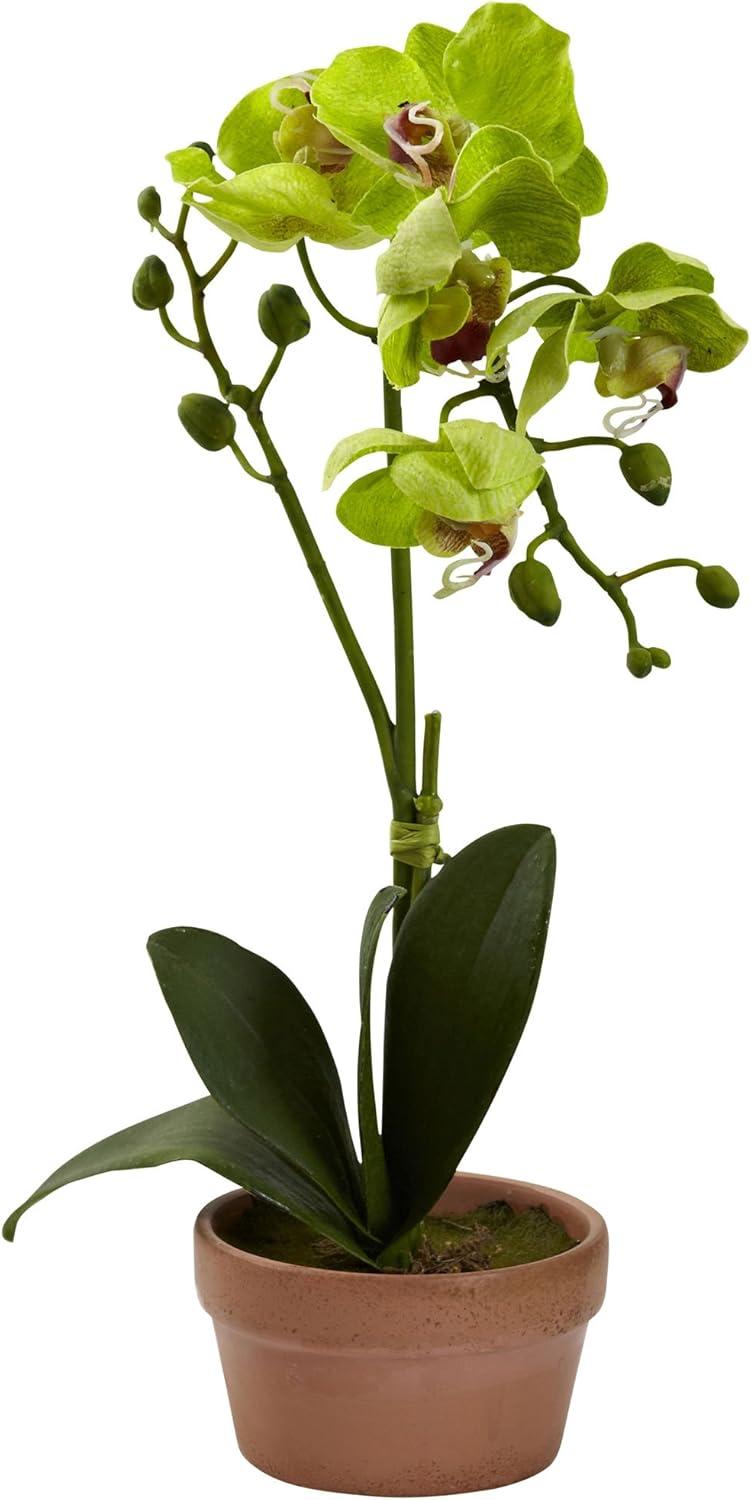 Nearly Natural Phalaenopsis Orchid with Clay Vase (Set of 4)