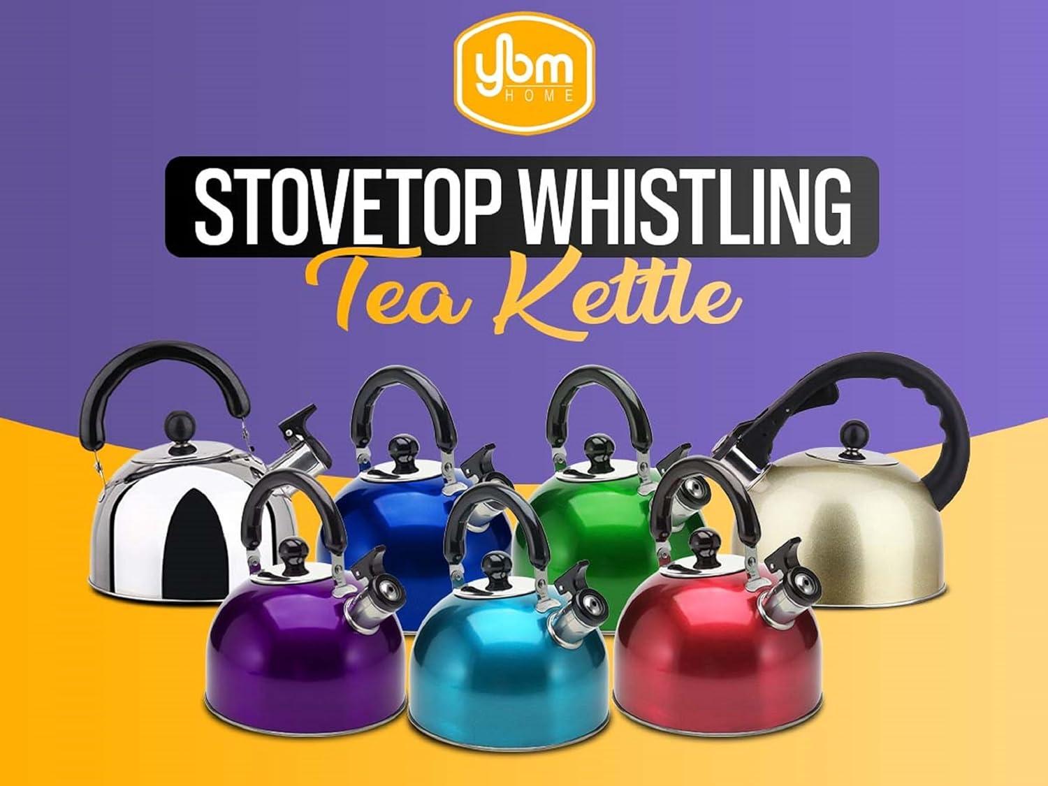 Red Stainless Steel Whistling Tea Kettle with Handle, 3L