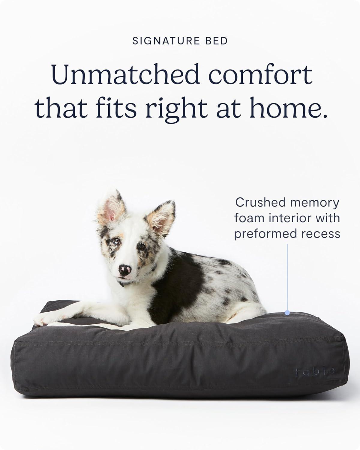 Fable Pets Orthopedic Pet Bed