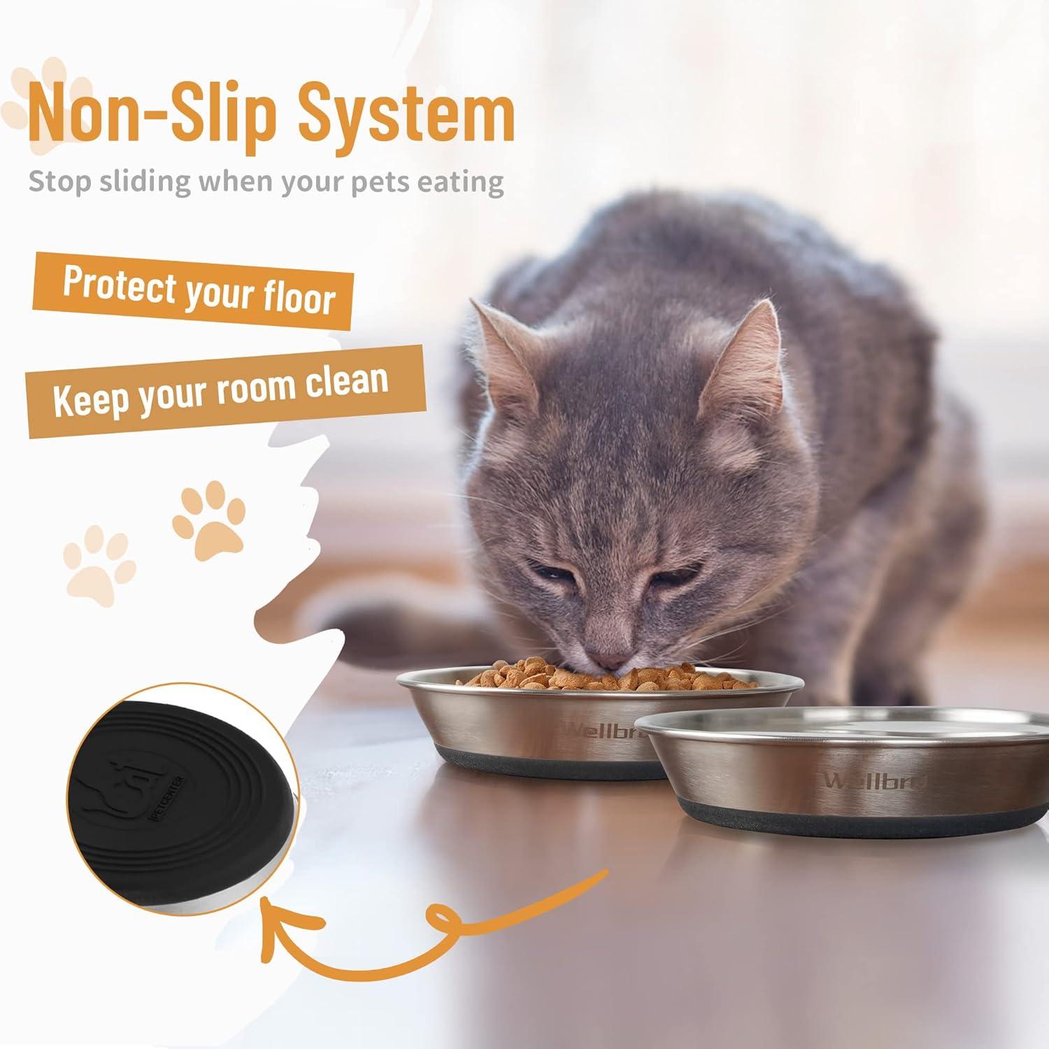 Wellbro Cat Bowls, 2 Pcs Stainless Steel Cat Bowls for Food and Water, Whisker Fatigue Shallow Non-Slip Cat Dishes Plates for Small Dog Puppies Cats