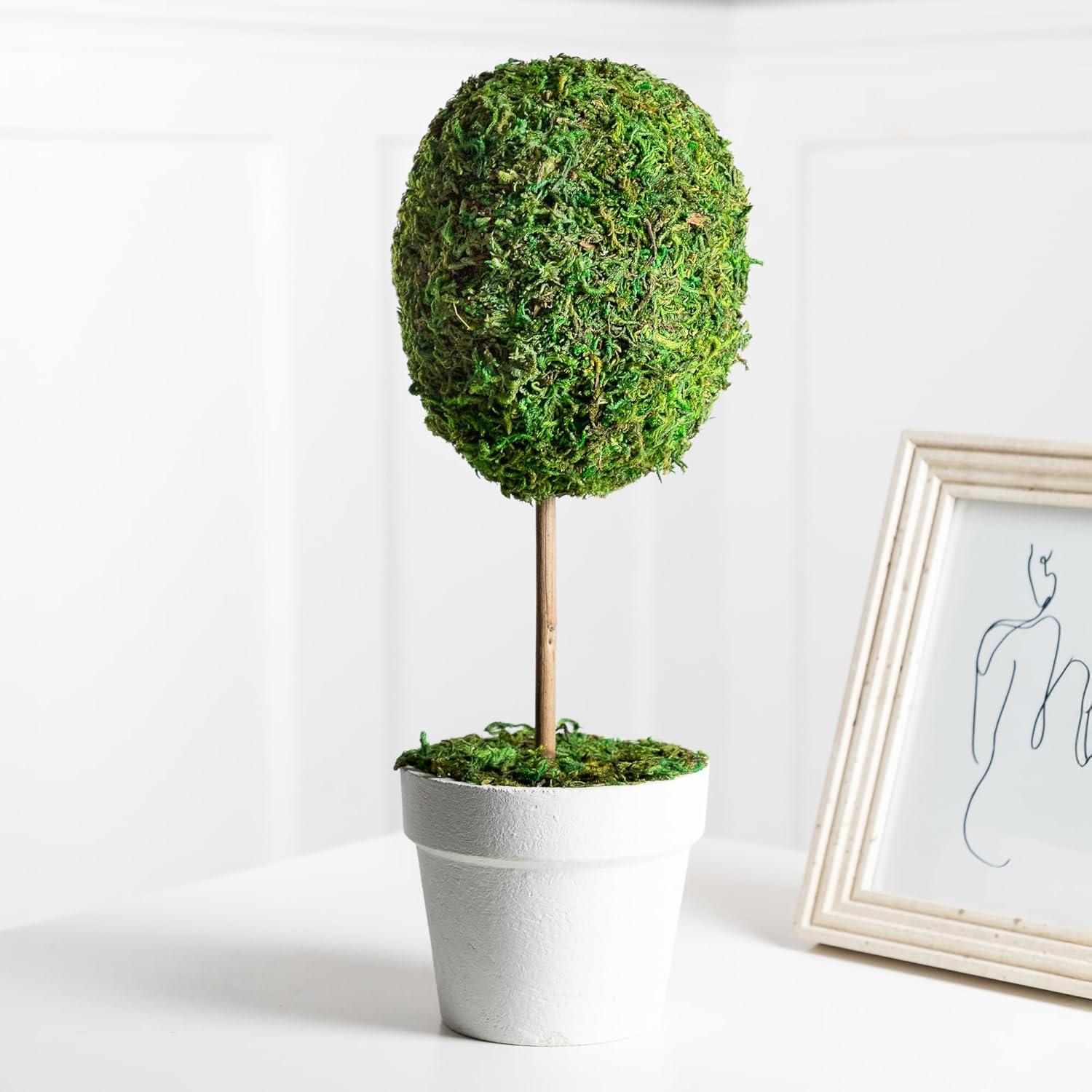 Northlight Seasonal Green Reindeer Moss Ball Potted Artificial Spring Topiary Tree