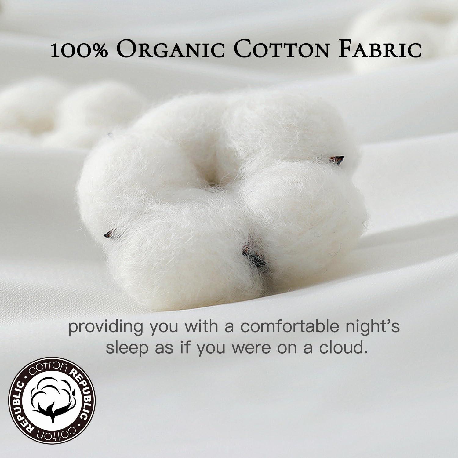 ValenciaLuxe Hotel-Collection 100% Organic Cotton All Season Goose Feathers Down Comforter