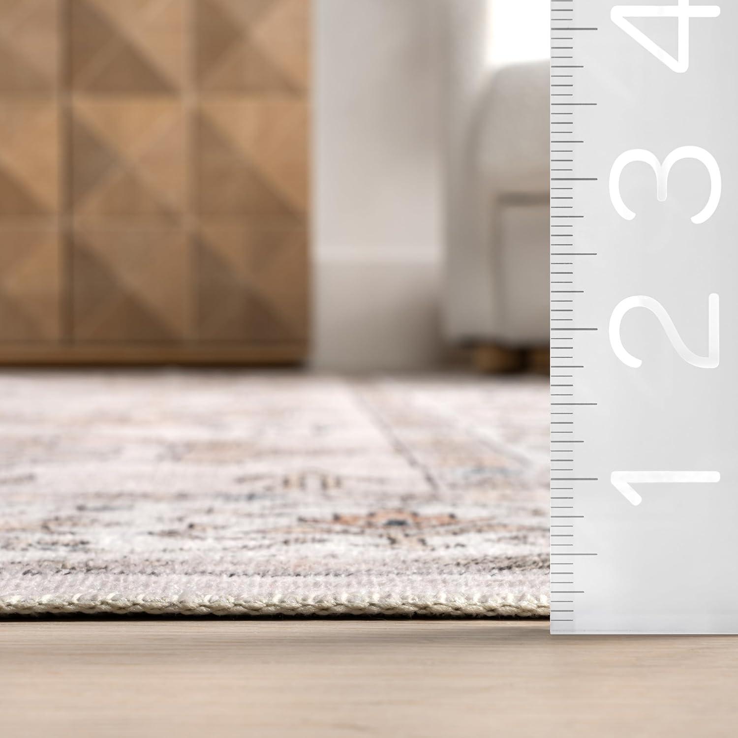 Nuloom Finley Pet Friendly Machine Washable Vintage Distressed Area Rug, 8' x 10', Beige