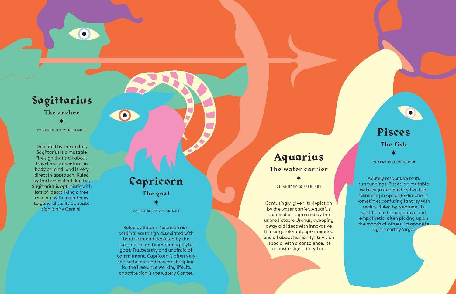 Pisces - (Hg Seeing Stars) by  Stella Andromeda (Hardcover)