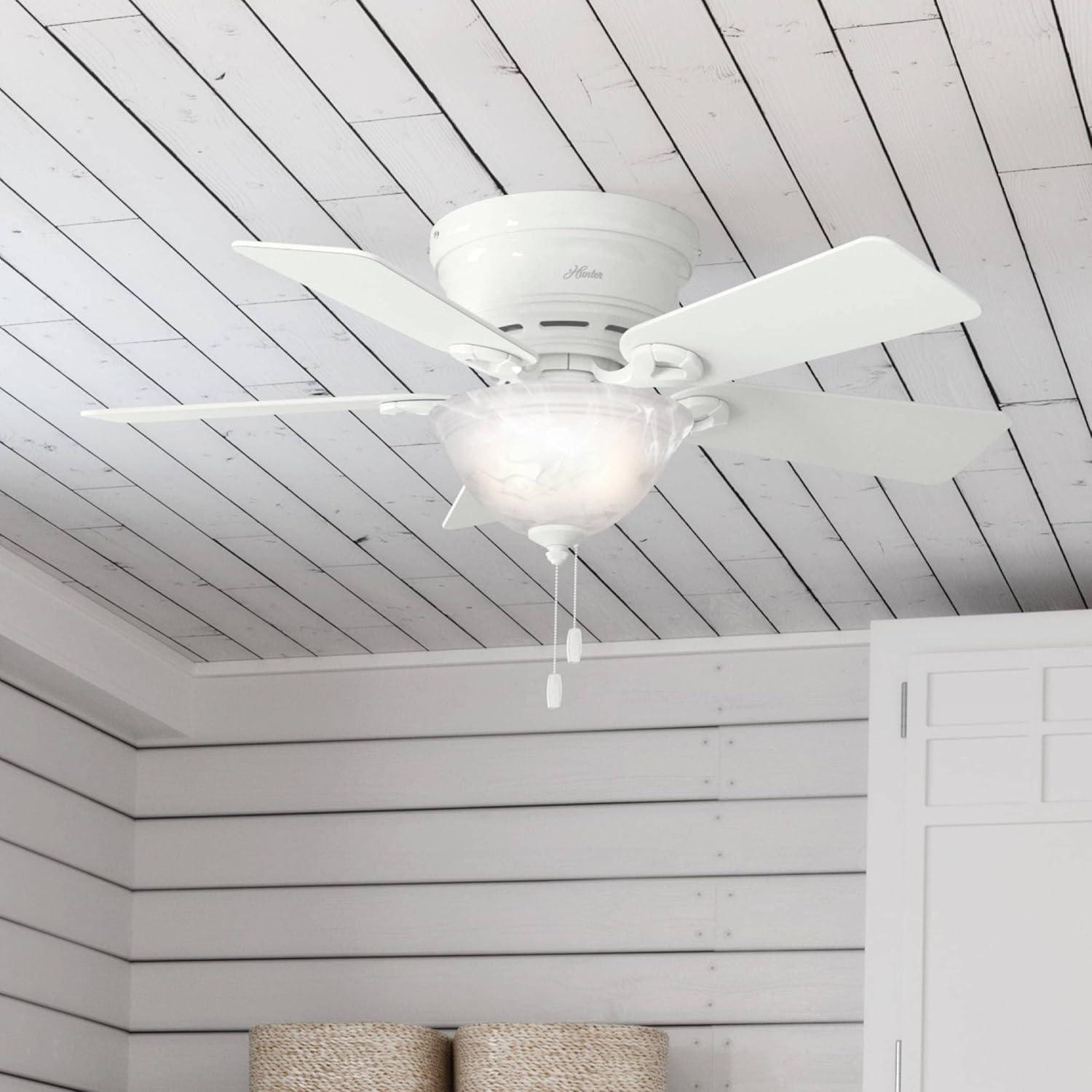 42'' Conroy 5 - Blade Flush Mount Ceiling Fan with Pull Chain and Light Kit Included