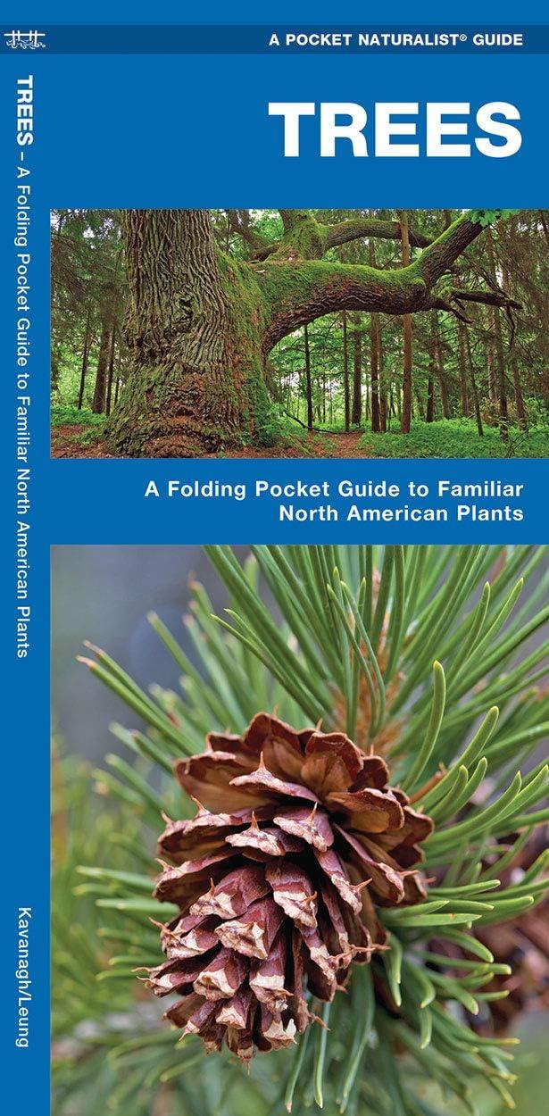 Wildlife and Nature Identification: Trees : A Folding Pocket Guide to Familiar North n Plants (Other)