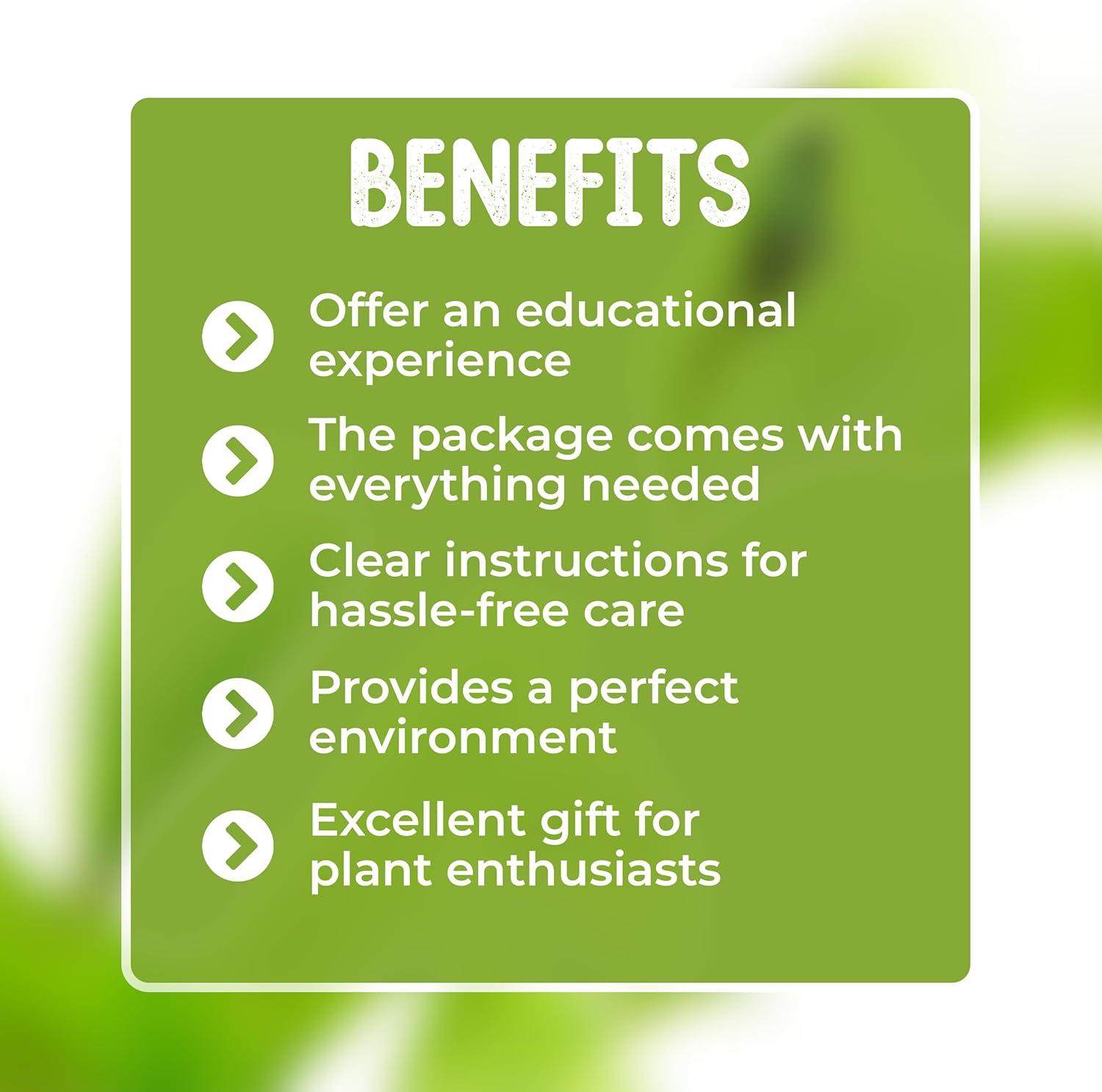 Venus Flytrap Live Plant Kit with Carnivorous Plant Food in 2.5" Glass Cube – Indoor Bug-Eating Plant with Tweezers & Sphagnum Moss – Educational Gift Fly Trap