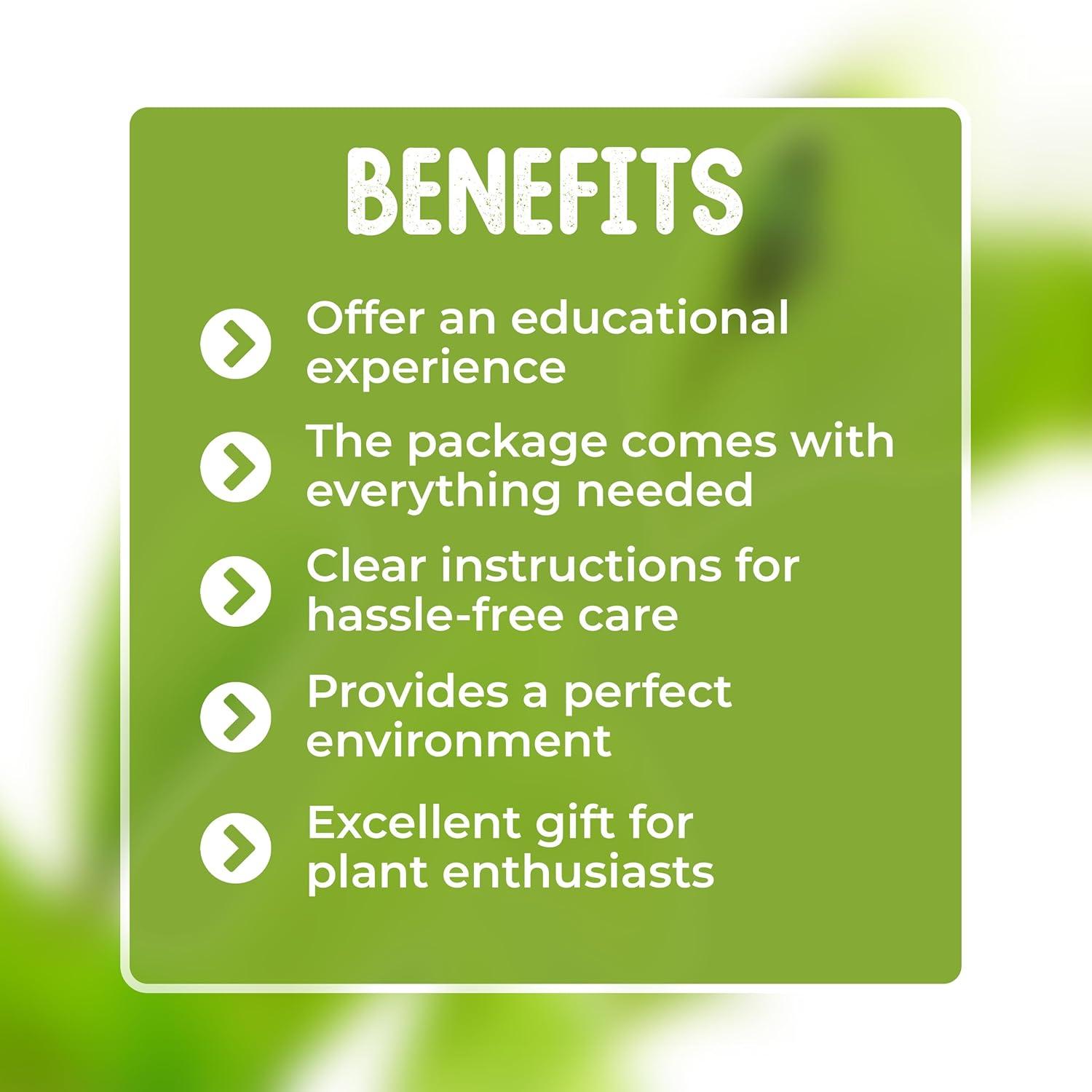 Venus Flytrap Live Plant Kit with Carnivorous Plant Food in 2.5" Glass Cube – Indoor Bug-Eating Plant with Tweezers & Sphagnum Moss – Educational Gift Fly Trap