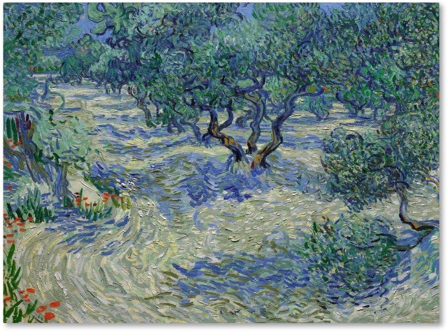 Van Gogh 'Olive Orchard' Canvas Art-35x47