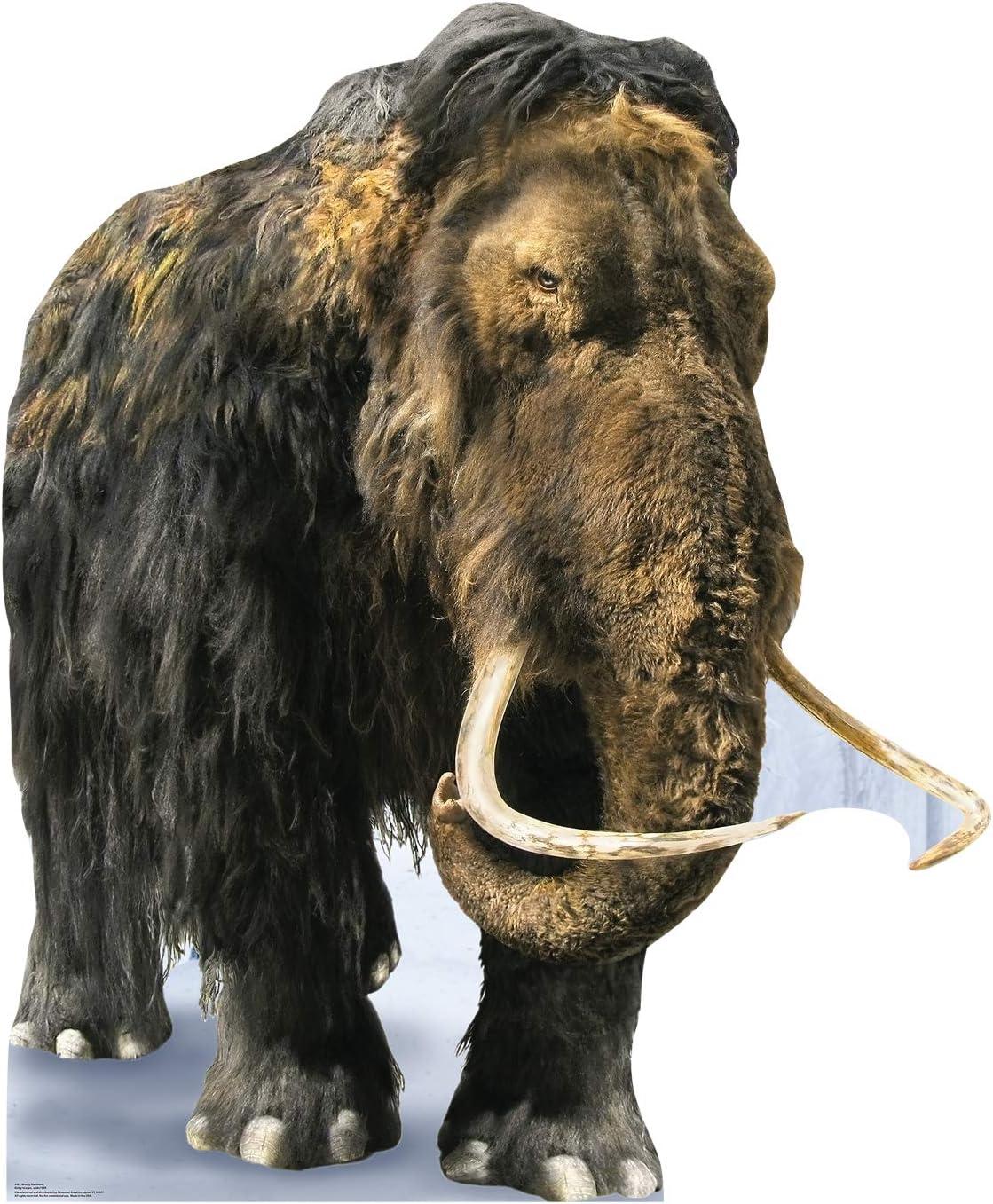 Advanced Graphics  70 x 57 in. Woolly Mammoth Cardboard Cutout