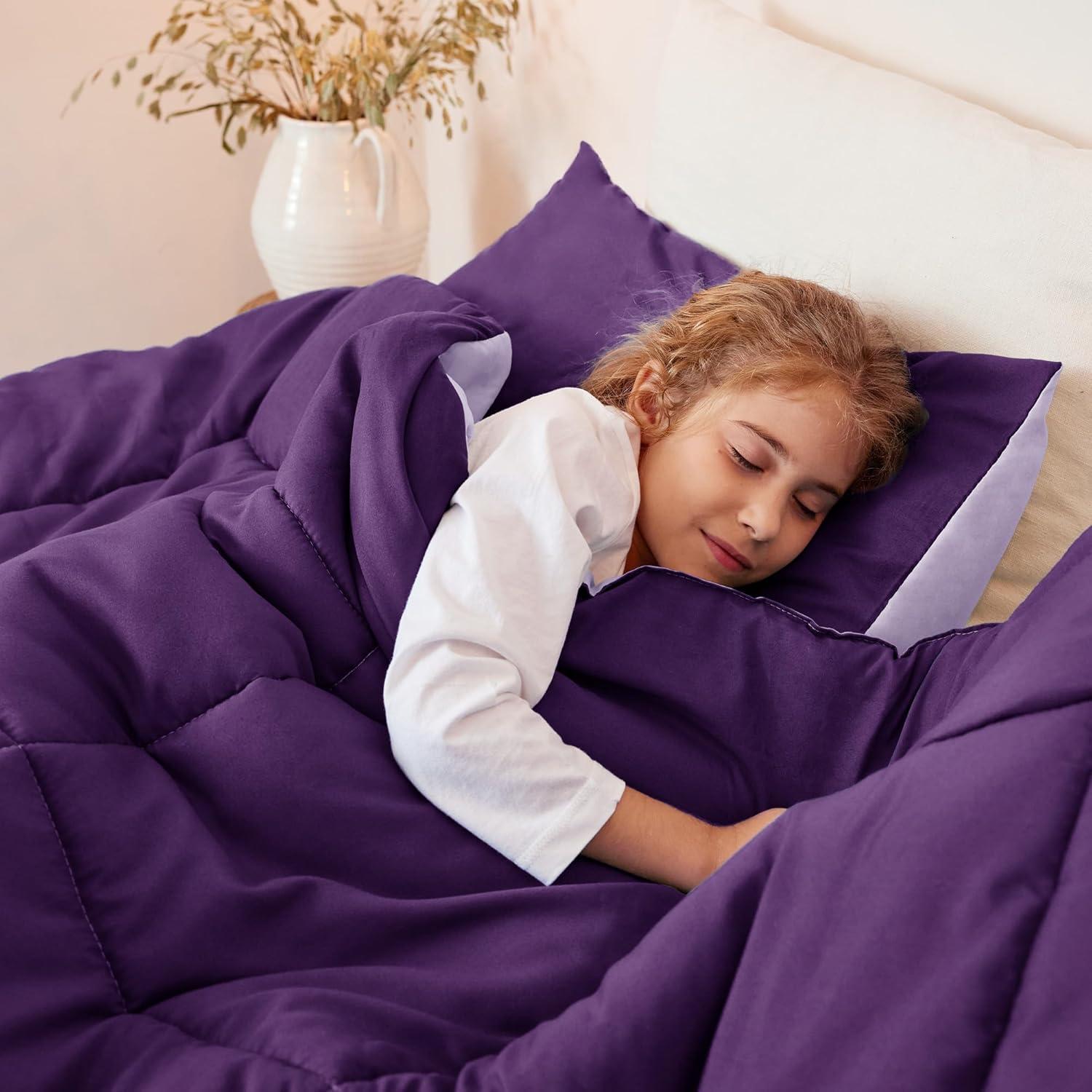 King Size Purple Reversible Down Alternative Comforter Set