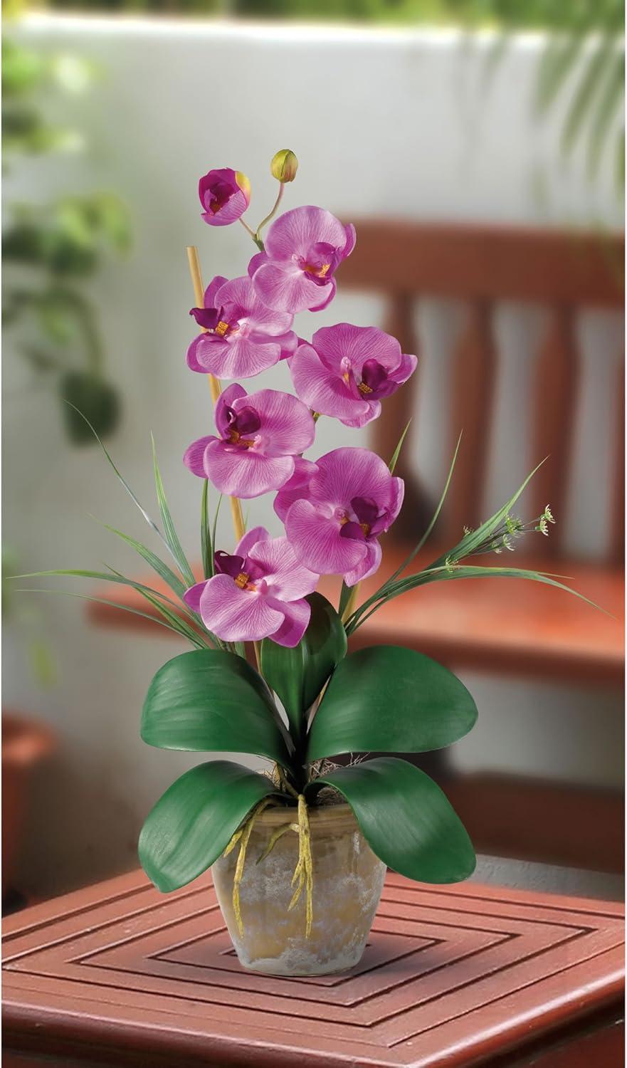 Mauve Silk Phalaenopsis Orchid with Bamboo in 21" Pot