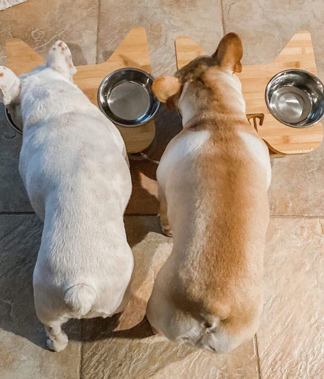 Large Elevated Bamboo and Stainless Steel Dog Feeder