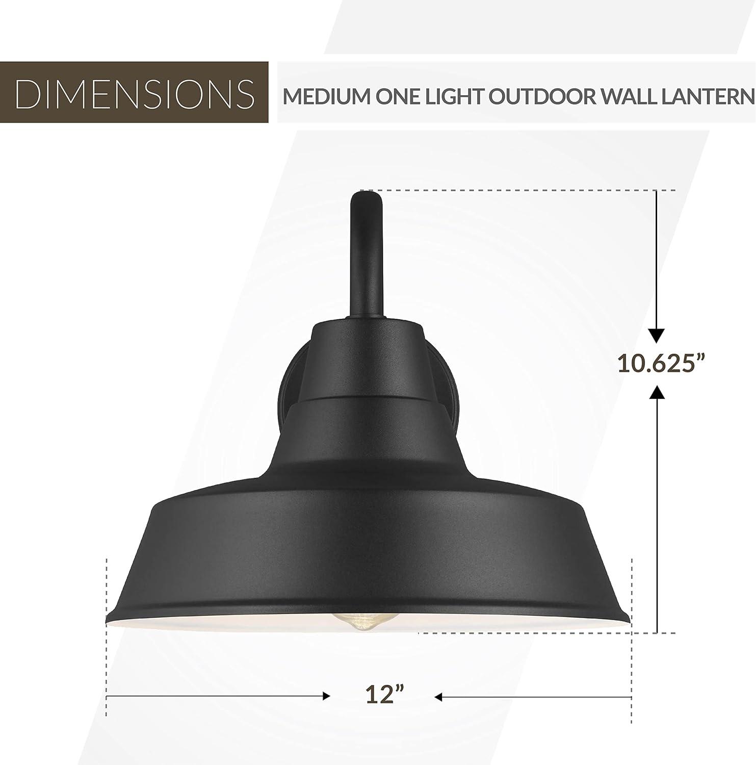 Fisher Outdoor Sconce - Black / 12"Dia