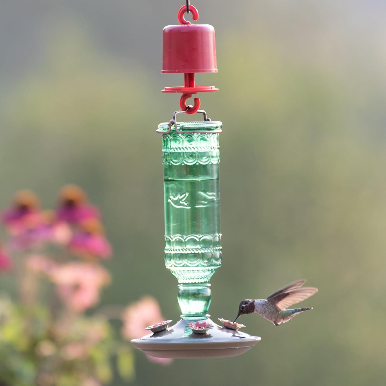 Woodstream Glass Hanging Soda Bottle Feeder