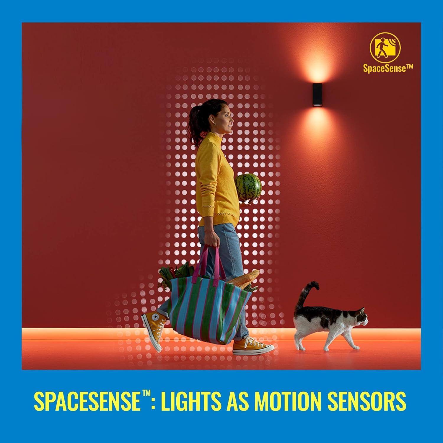 WiZ Connected LED Color Changing Outdoor Spotlight Extension - Starter Kit Required - Weatherproof - Control with WiZ App - Works with Google Home, Alexa, and Siri Shortcuts - 2 Pack