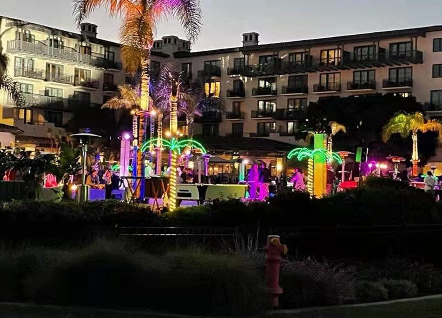 Wintergreen Lighting Holographic Lighted Palm Tree, LED, Artificial Tree, Rope Light, 7ft, Indoor/Covered Outdoor Use