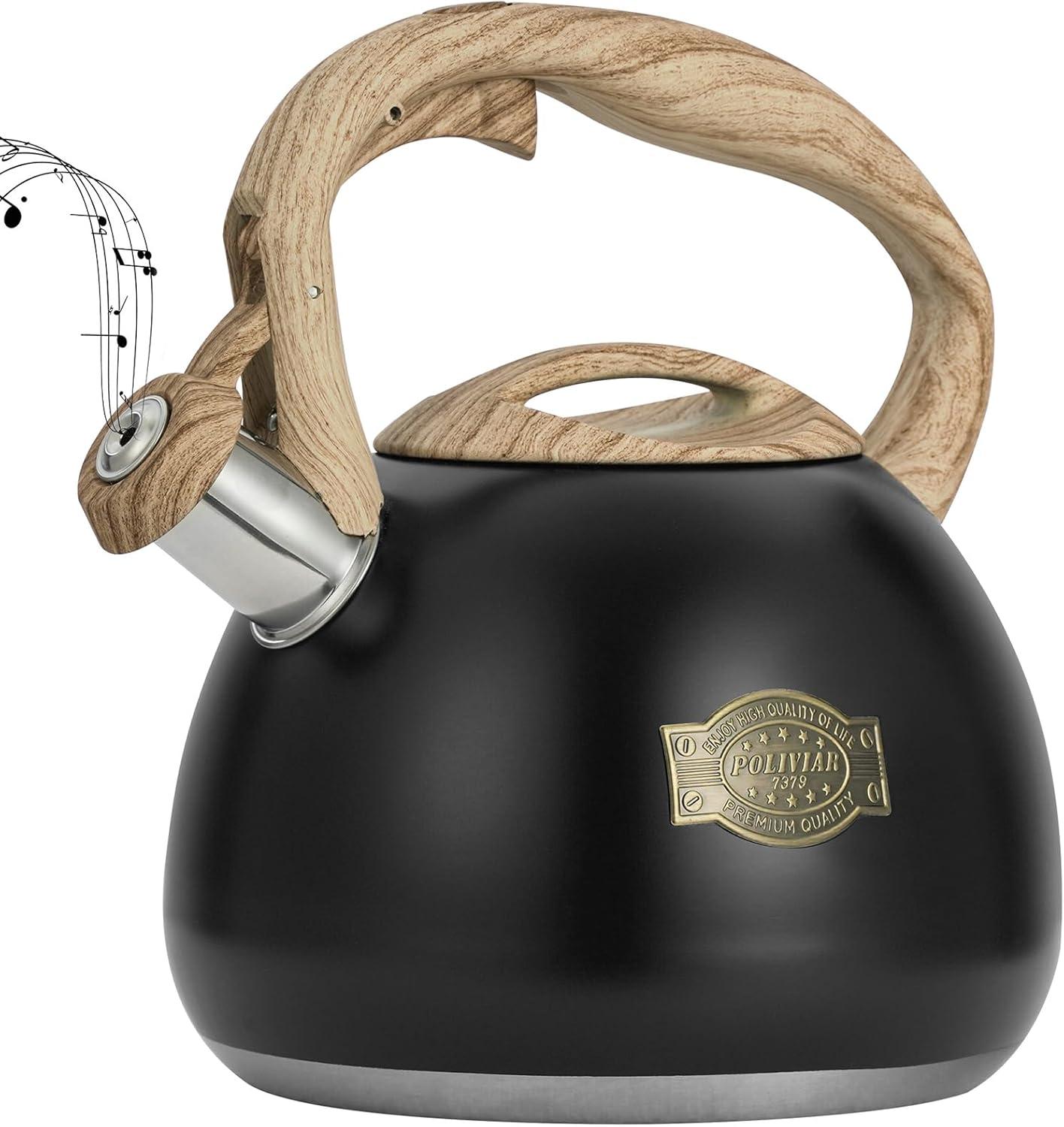 Black Stainless Steel Whistling Teapot with Silicone Handle