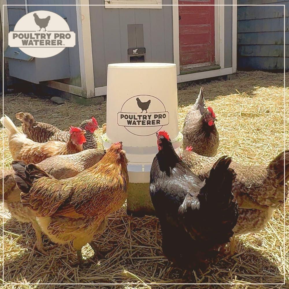 The Original Poultry Pro Waterer | DIY Chicken Waterer for Chicken Coop | Hands Free Poultry Waterer Suitable for Pigeons, Ducks, Chickens & Other Smaller Birds - Fits All 5 Gallon Buckets